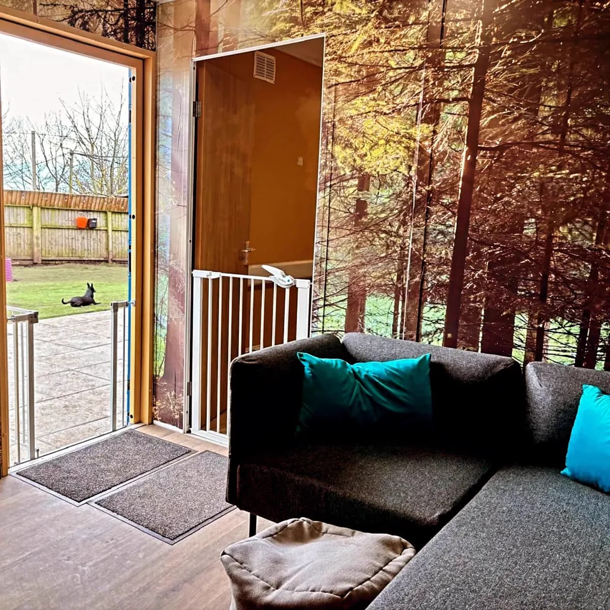 An indoor room at Caryl Street with sofas and a dog bed, the door open to the garden