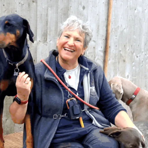 Jan laughing on a bench, a Dobermann beside her and two more dogs at her side