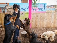 tails-in-the-city-gallery-103