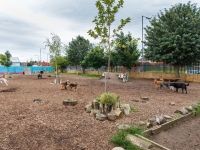 tails-in-the-city-gallery-32