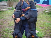 tails-in-the-city-gallery-35