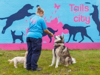 tails-in-the-city-gallery-45