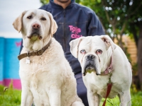 tails-in-the-city-gallery-52