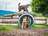 tails-in-the-city-gallery-53