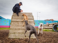 tails-in-the-city-gallery-55