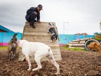 tails-in-the-city-gallery-56