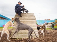 tails-in-the-city-gallery-57