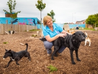 tails-in-the-city-gallery-60