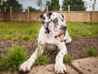 tails-in-the-city-gallery-64