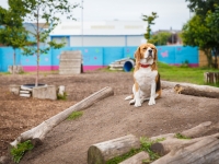 tails-in-the-city-gallery-70