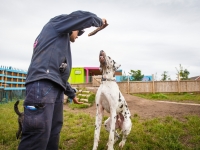 tails-in-the-city-gallery-80